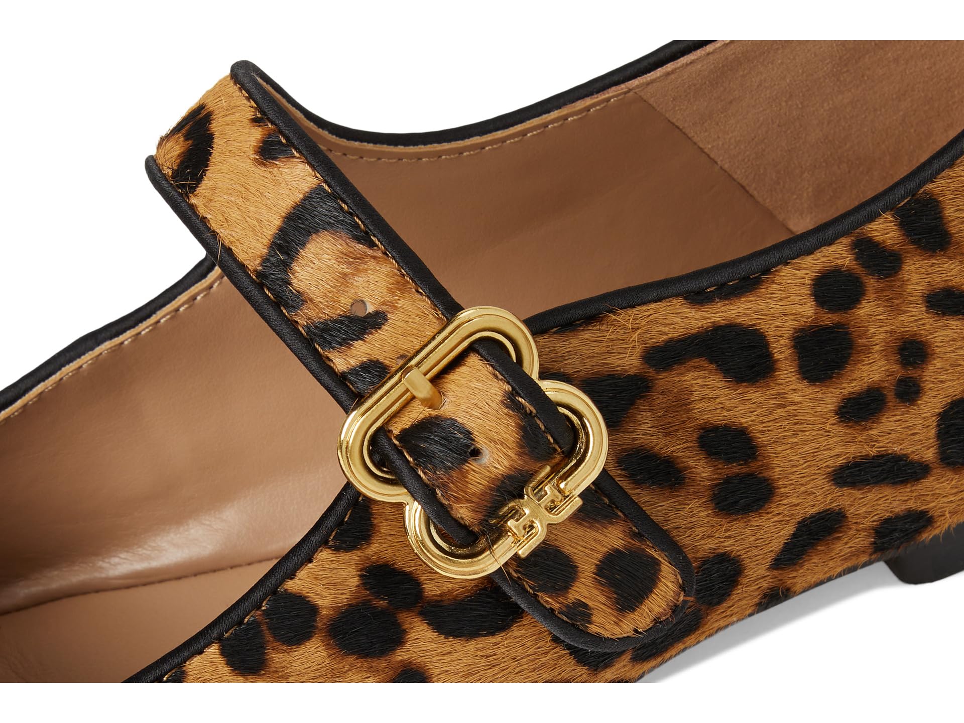 Sam Edelman Michaela flat shoe in Granada Tan leopard print with gold buckle detail