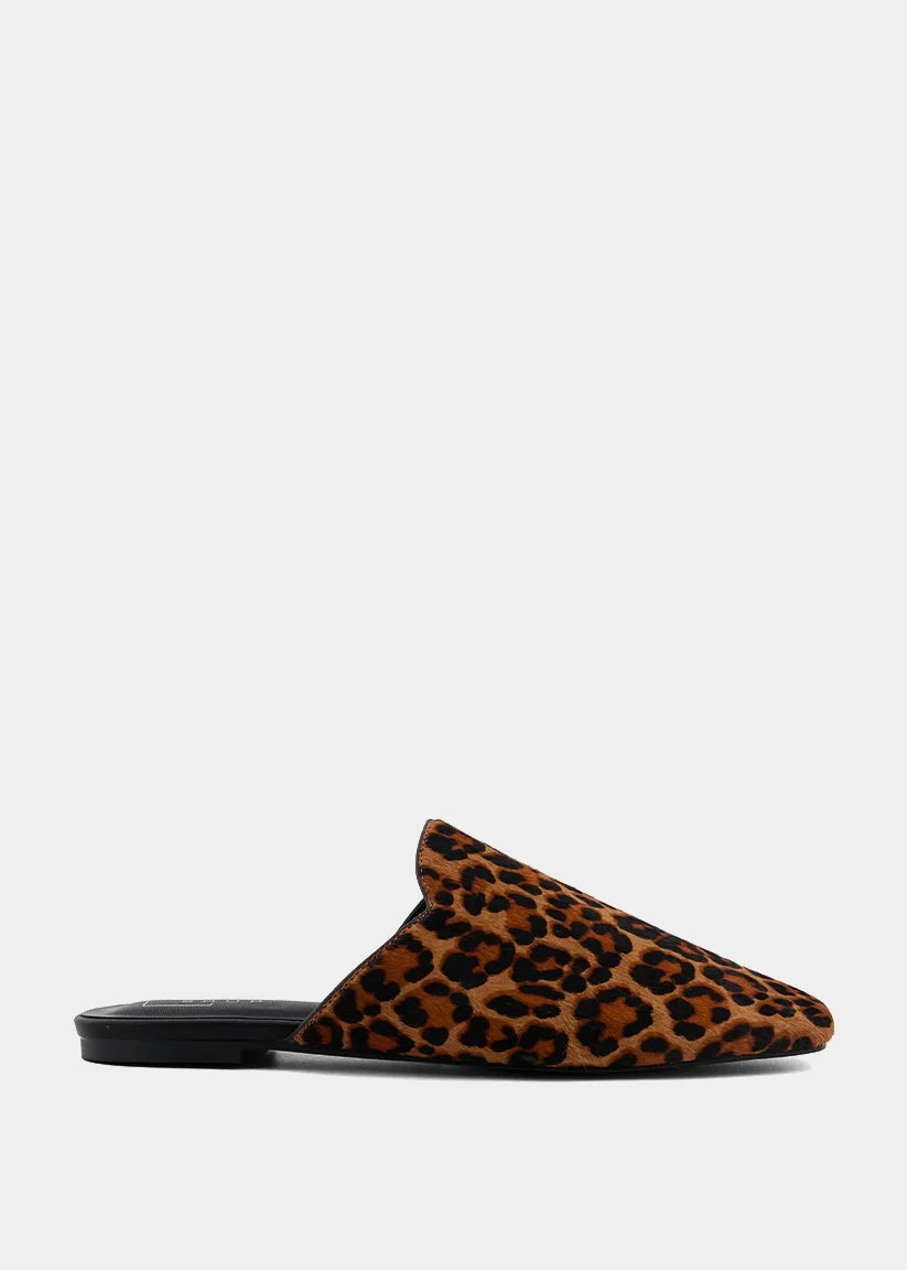 Atlas | Leopard