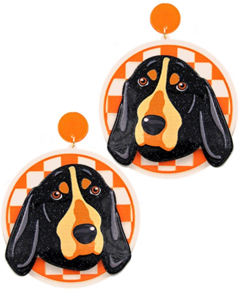 Acrylic Smokey Round Disk Earrings