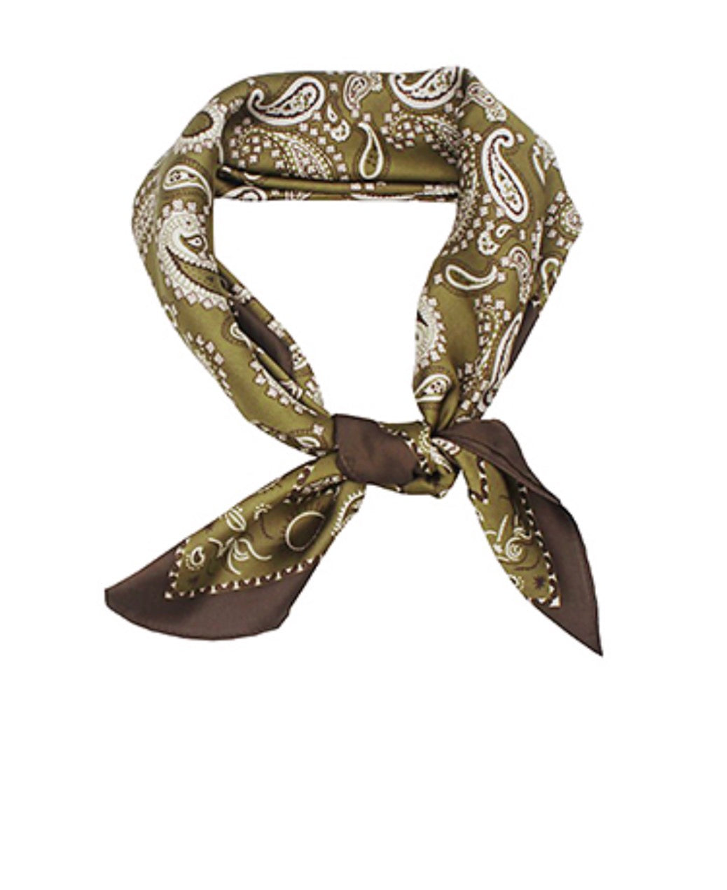 Paisley Border Scarf | Olive