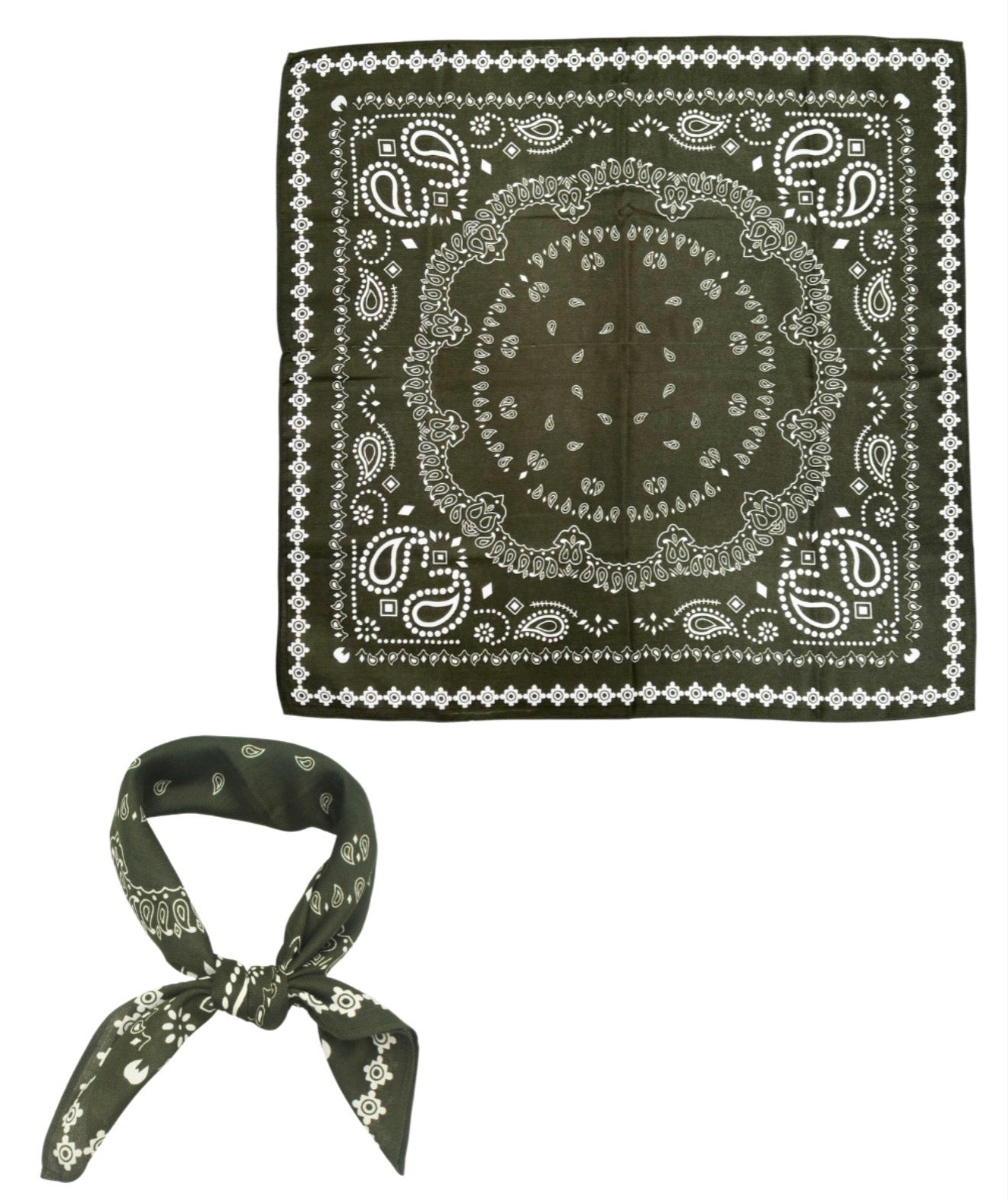 Rustic Paisley Print Scarf | Olive
