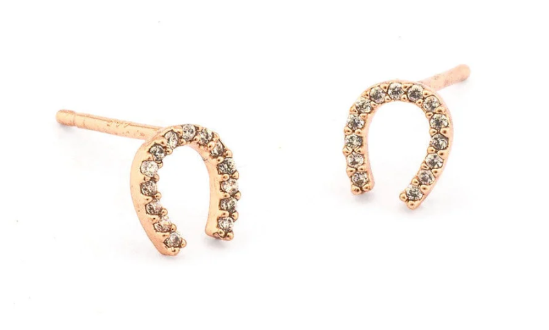 Mini Horseshoe Earrings