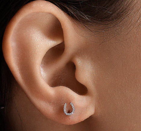 Mini Horseshoe Earrings