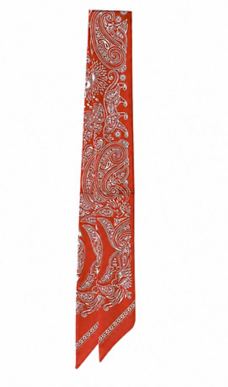 Skinny Scarf | Red Paisley